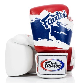 Fairtex BGV1 Thailand Muay Thai Gloves