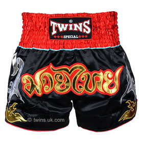Twins Muay Thai Shorts / Traditional / TWS-005