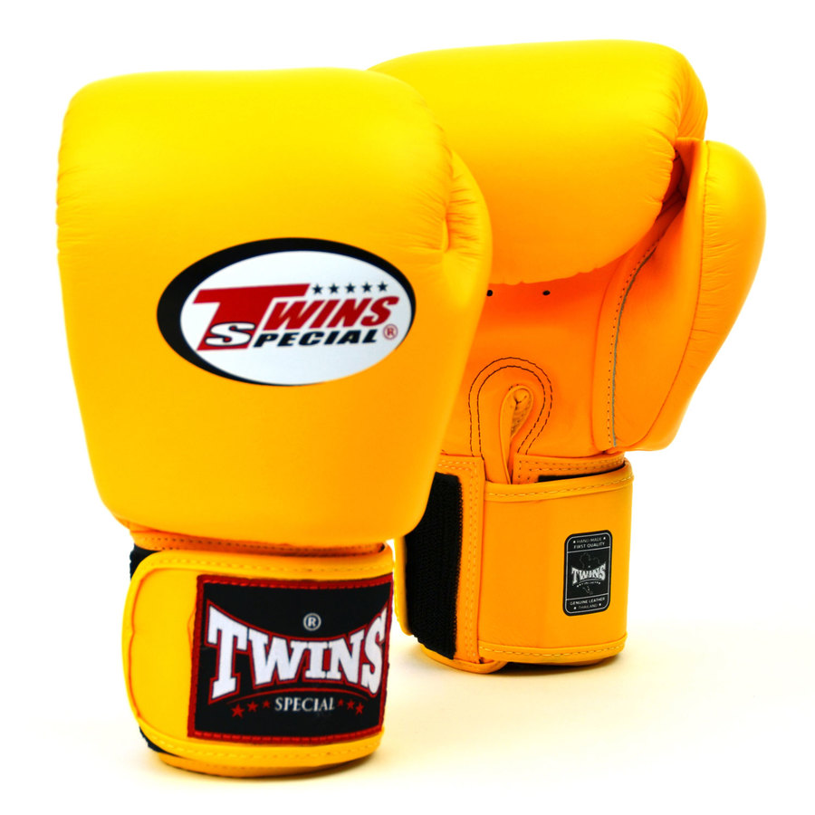 Twins boxing sales gloves price