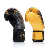 Fairtex BGV26 Harmony Six Muay Thai Gloves Fairtex BGV26 Harmony Six Muay Thai Gloves