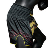 Fairtex BS1925 Red Line Muay Thai Shorts Fairtex BS1925 Red Line Muay Thai Shorts