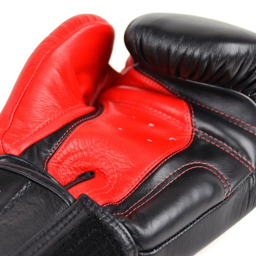 Download Twins Boxing Gloves / Pro 2-Tone / Red-Black